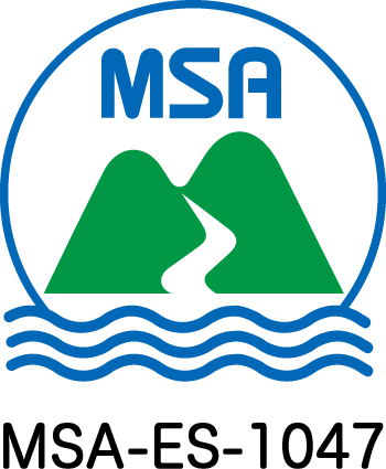 MSA